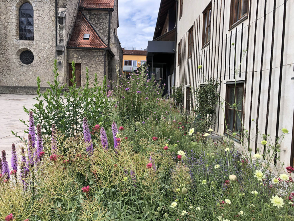 Kirche Traunstein – Blumenbeet
