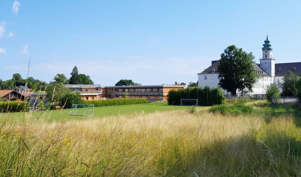 Die Grille - Internat St. Michael - Traunstein