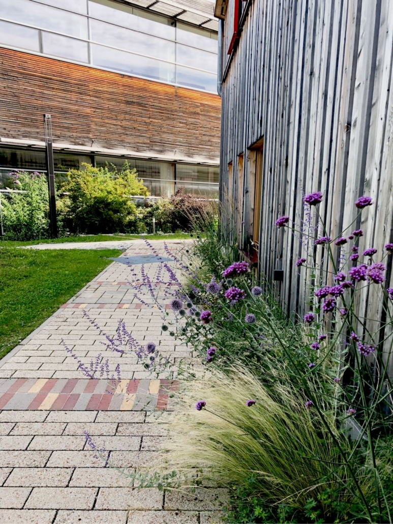 Die Grille - Internat St. Michael - Traunstein